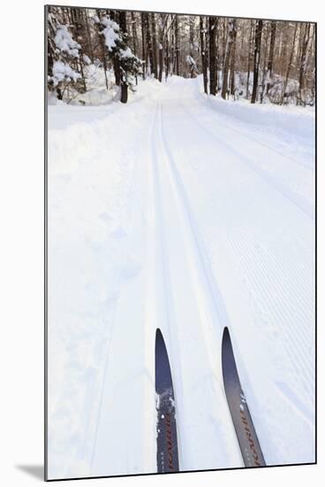 Cross Country Skis, Notchview Reservation, Windsor, Massachusetts-Jerry & Marcy Monkman-Mounted Photographic Print