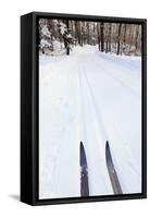 Cross Country Skis, Notchview Reservation, Windsor, Massachusetts-Jerry & Marcy Monkman-Framed Stretched Canvas