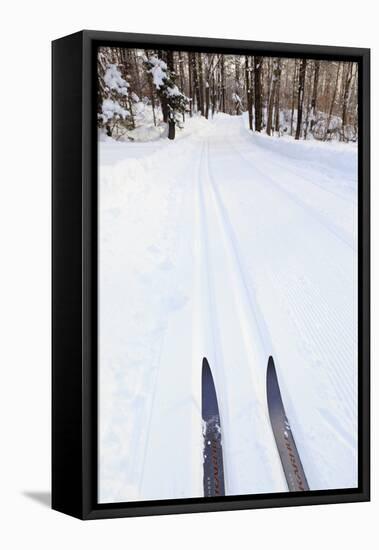 Cross Country Skis, Notchview Reservation, Windsor, Massachusetts-Jerry & Marcy Monkman-Framed Stretched Canvas