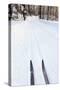 Cross Country Skis, Notchview Reservation, Windsor, Massachusetts-Jerry & Marcy Monkman-Stretched Canvas