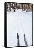 Cross Country Skis, Notchview Reservation, Windsor, Massachusetts-Jerry & Marcy Monkman-Framed Stretched Canvas