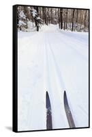 Cross Country Skis, Notchview Reservation, Windsor, Massachusetts-Jerry & Marcy Monkman-Framed Stretched Canvas
