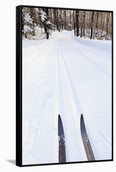 Cross Country Skis, Notchview Reservation, Windsor, Massachusetts-Jerry & Marcy Monkman-Framed Stretched Canvas