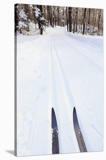 Cross Country Skis, Notchview Reservation, Windsor, Massachusetts-Jerry & Marcy Monkman-Stretched Canvas