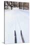 Cross Country Skis, Notchview Reservation, Windsor, Massachusetts-Jerry & Marcy Monkman-Stretched Canvas