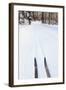 Cross Country Skis, Notchview Reservation, Windsor, Massachusetts-Jerry & Marcy Monkman-Framed Photographic Print