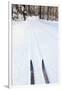 Cross Country Skis, Notchview Reservation, Windsor, Massachusetts-Jerry & Marcy Monkman-Framed Premium Photographic Print