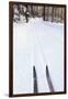 Cross Country Skis, Notchview Reservation, Windsor, Massachusetts-Jerry & Marcy Monkman-Framed Premium Photographic Print