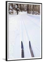 Cross Country Skis, Notchview Reservation, Windsor, Massachusetts-Jerry & Marcy Monkman-Framed Premium Photographic Print