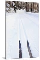 Cross Country Skis, Notchview Reservation, Windsor, Massachusetts-Jerry & Marcy Monkman-Mounted Premium Photographic Print