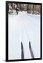 Cross Country Skis, Notchview Reservation, Windsor, Massachusetts-Jerry & Marcy Monkman-Framed Premium Photographic Print