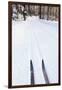 Cross Country Skis, Notchview Reservation, Windsor, Massachusetts-Jerry & Marcy Monkman-Framed Photographic Print