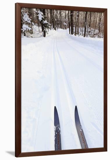 Cross Country Skis, Notchview Reservation, Windsor, Massachusetts-Jerry & Marcy Monkman-Framed Photographic Print