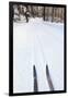 Cross Country Skis, Notchview Reservation, Windsor, Massachusetts-Jerry & Marcy Monkman-Framed Photographic Print