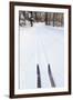 Cross Country Skis, Notchview Reservation, Windsor, Massachusetts-Jerry & Marcy Monkman-Framed Premium Photographic Print