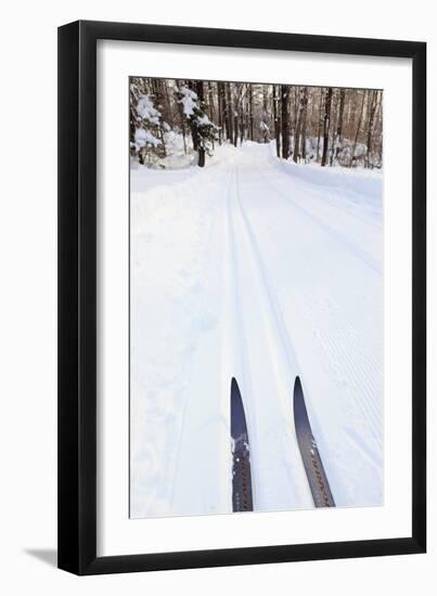 Cross Country Skis, Notchview Reservation, Windsor, Massachusetts-Jerry & Marcy Monkman-Framed Premium Photographic Print