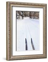 Cross Country Skis, Notchview Reservation, Windsor, Massachusetts-Jerry & Marcy Monkman-Framed Photographic Print