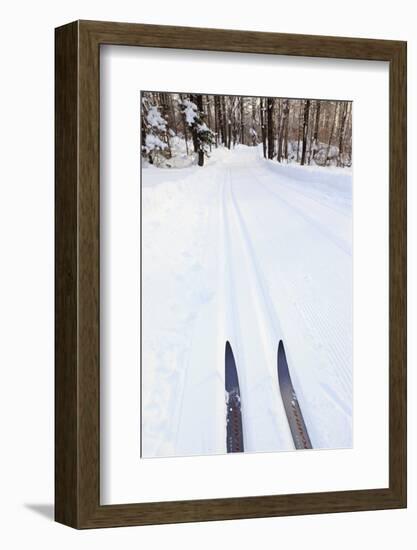 Cross Country Skis, Notchview Reservation, Windsor, Massachusetts-Jerry & Marcy Monkman-Framed Photographic Print