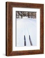 Cross Country Skis, Notchview Reservation, Windsor, Massachusetts-Jerry & Marcy Monkman-Framed Photographic Print