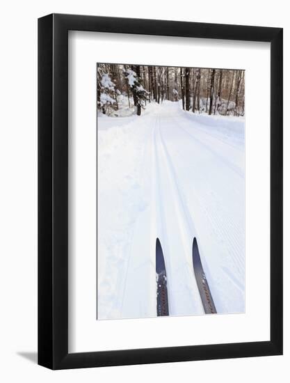 Cross Country Skis, Notchview Reservation, Windsor, Massachusetts-Jerry & Marcy Monkman-Framed Photographic Print