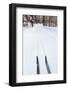 Cross Country Skis, Notchview Reservation, Windsor, Massachusetts-Jerry & Marcy Monkman-Framed Photographic Print