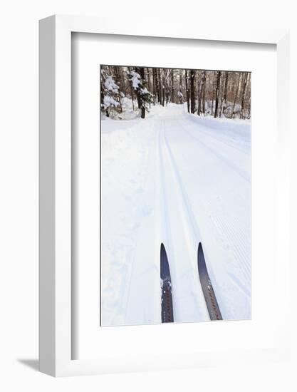 Cross Country Skis, Notchview Reservation, Windsor, Massachusetts-Jerry & Marcy Monkman-Framed Photographic Print