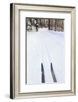 Cross Country Skis, Notchview Reservation, Windsor, Massachusetts-Jerry & Marcy Monkman-Framed Photographic Print