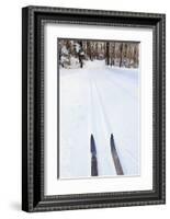 Cross Country Skis, Notchview Reservation, Windsor, Massachusetts-Jerry & Marcy Monkman-Framed Photographic Print