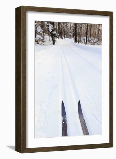 Cross Country Skis, Notchview Reservation, Windsor, Massachusetts-Jerry & Marcy Monkman-Framed Photographic Print