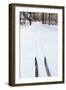 Cross Country Skis, Notchview Reservation, Windsor, Massachusetts-Jerry & Marcy Monkman-Framed Photographic Print