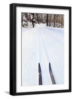 Cross Country Skis, Notchview Reservation, Windsor, Massachusetts-Jerry & Marcy Monkman-Framed Photographic Print