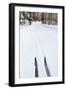 Cross Country Skis, Notchview Reservation, Windsor, Massachusetts-Jerry & Marcy Monkman-Framed Photographic Print