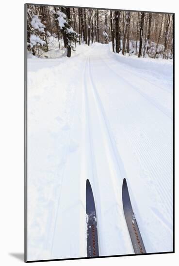 Cross Country Skis, Notchview Reservation, Windsor, Massachusetts-Jerry & Marcy Monkman-Mounted Photographic Print