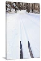 Cross Country Skis, Notchview Reservation, Windsor, Massachusetts-Jerry & Marcy Monkman-Stretched Canvas