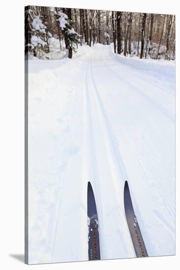 Cross Country Skis, Notchview Reservation, Windsor, Massachusetts-Jerry & Marcy Monkman-Stretched Canvas
