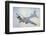 Cross-cut view of a B17-null-Framed Art Print