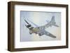 Cross-cut view of a B17-null-Framed Art Print