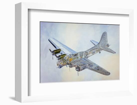 Cross-cut view of a B17-null-Framed Art Print