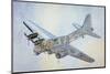 Cross-cut view of a B17-null-Mounted Art Print