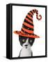 Cross Eyed Kitten Wearing A Halloween Witch Hat-Hannamariah-Framed Stretched Canvas