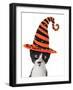 Cross Eyed Kitten Wearing A Halloween Witch Hat-Hannamariah-Framed Photographic Print