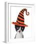 Cross Eyed Kitten Wearing A Halloween Witch Hat-Hannamariah-Framed Photographic Print