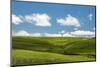 Cross in the Flint Hills-Michael Scheufler-Mounted Photographic Print