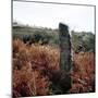 Cross-Inscribed Ogham Stone, Dromkeare, Co.Kerry, Ireland-CM Dixon-Mounted Photographic Print