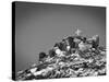 Cross on Top of Sandia Mountain Boulder Mound Landscape in Black and White, New Mexico-Kevin Lange-Stretched Canvas