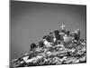 Cross on Top of Sandia Mountain Boulder Mound Landscape in Black and White, New Mexico-Kevin Lange-Mounted Photographic Print