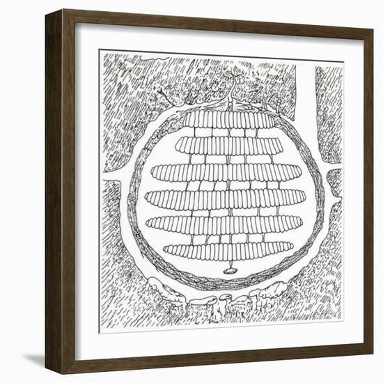 Cross-Section of German Wasp's Nest, Vespidae-null-Framed Giclee Print