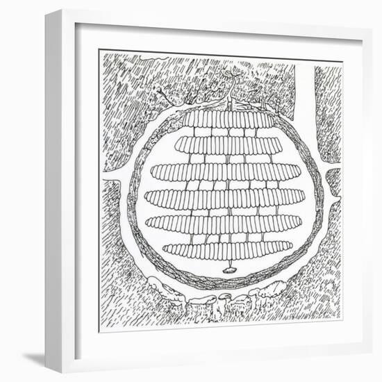 Cross-Section of German Wasp's Nest, Vespidae-null-Framed Giclee Print