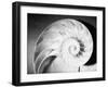 Cross Section of Nautilus Shell-Philip Gendreau-Framed Photographic Print