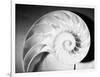 Cross Section of Nautilus Shell-Philip Gendreau-Framed Photographic Print